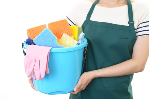 Professional oven cleaning service for a Belgravia kitchen