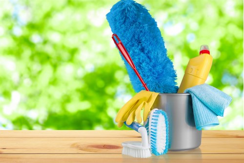Professional domestic cleaning in a Belgravia townhouse living room