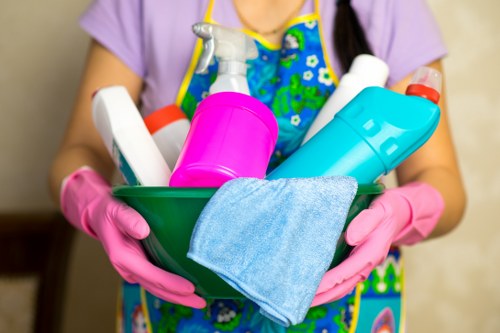 Secure online payment page for Carpet Cleaners Belgravia