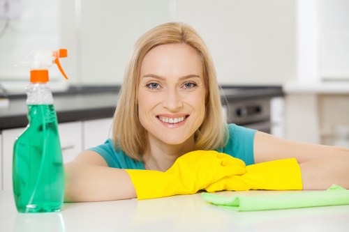 Professional cleaning service for Belgravia residential properties