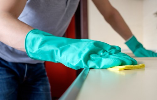 Clean oven door and kitchen appliance maintenance in Belgravia