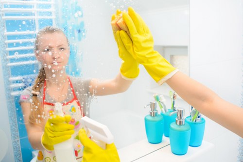 Domestic cleaner working in a Belgravia kitchen